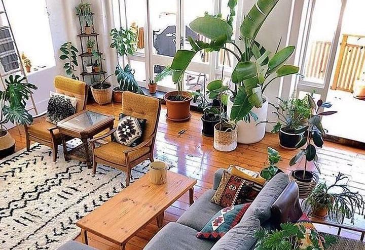 香港旅游发展局:上半年访港旅客约2400万人次 同比增长12%