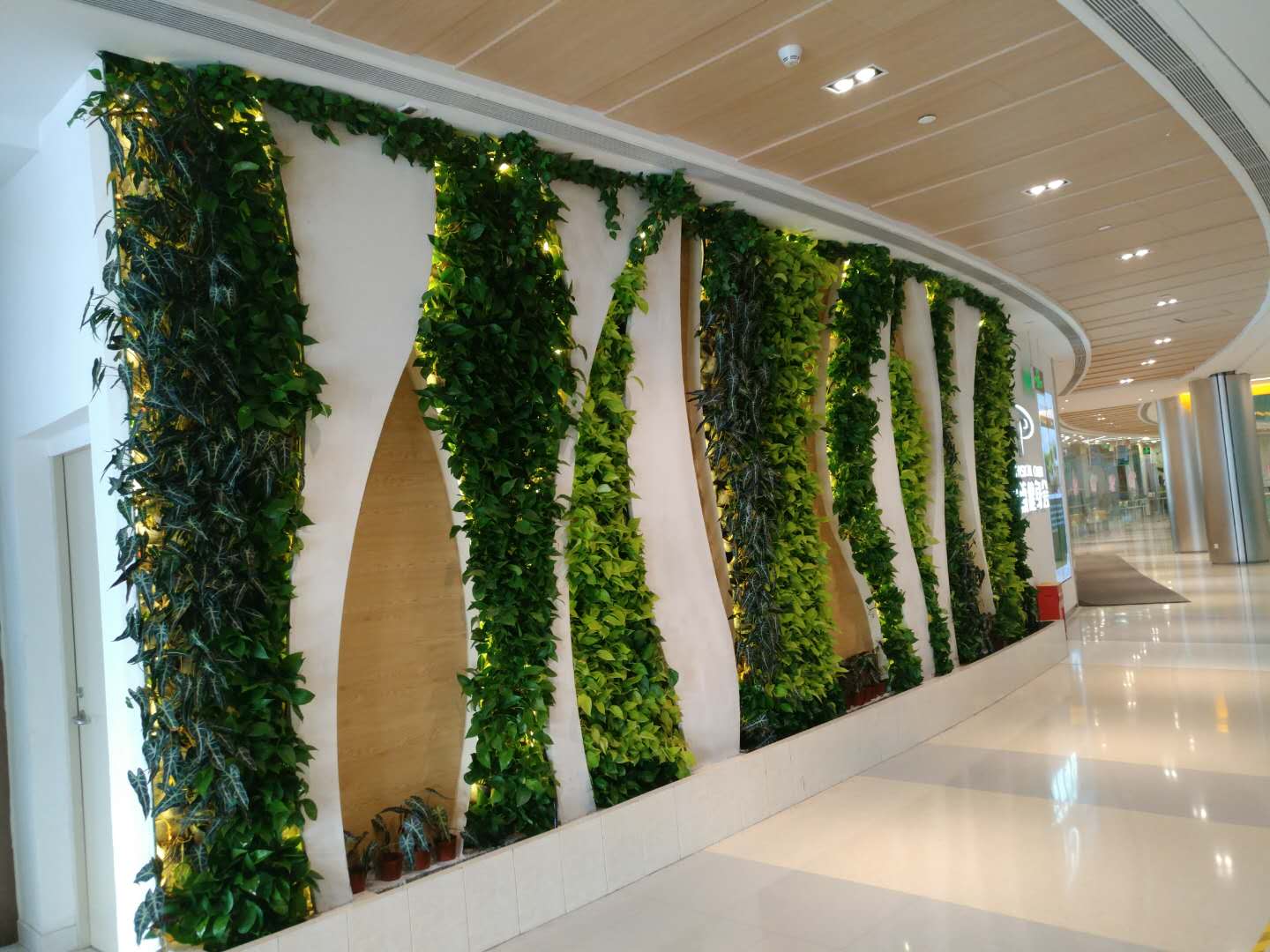 香港旅游发展局:上半年访港旅客约2400万人次 同比增长12%