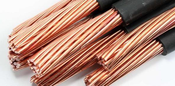 【滚动播报】直击2025年湛江高考