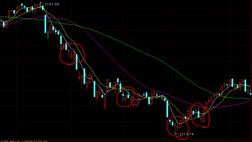我市加快推进《贵港市扶贫志》编纂工作